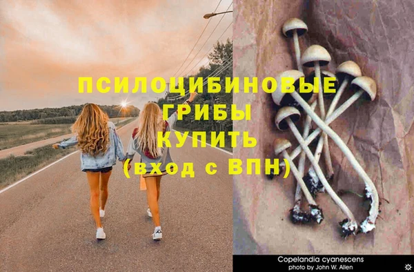 амфетамин Карпинск